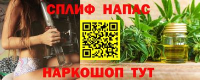 mdpv Краснознаменск