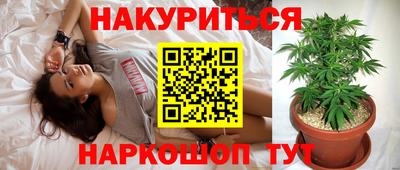 mdpv Краснознаменск