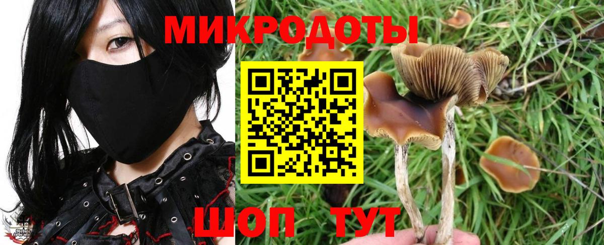 Псилоцибиновые грибы MAGIC MUSHROOMS  Вход с VPN  Кисловодск 