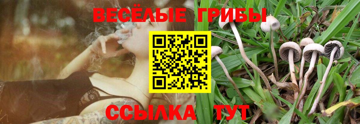 Галлюциногенные грибы Cubensis Кисловодск
